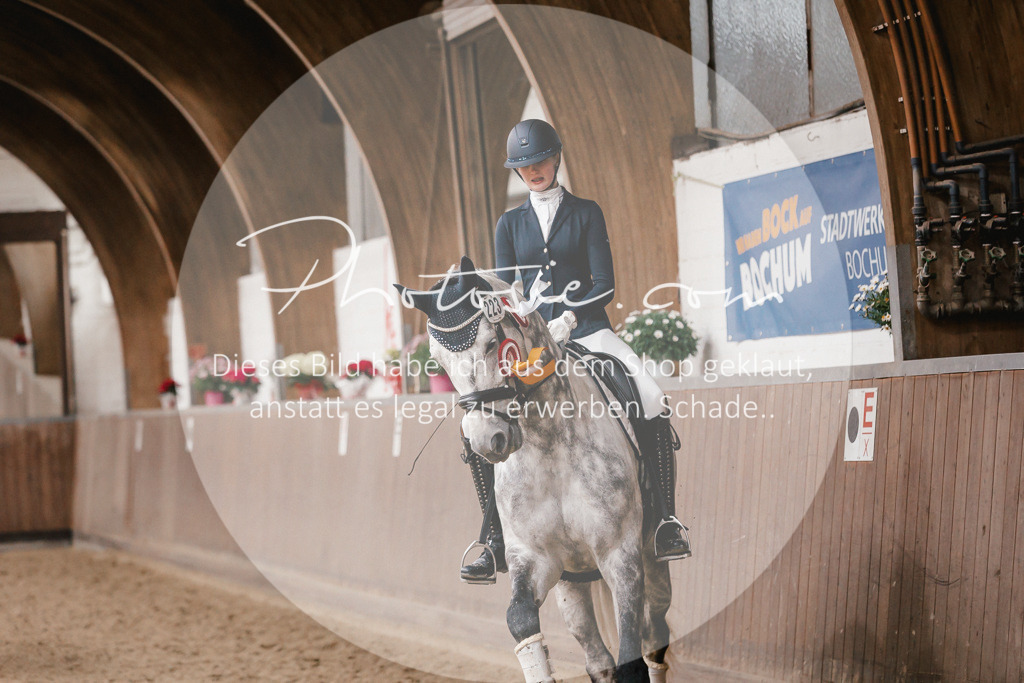 3I6A7011 | Stimmungsvolle Portraits und Reitsportfotografie im Ruhrgebiet und im Münsterland.

Pferdefotografie, Hundefotografie, Tierfotografie, Reportagen, Portraits von Tier und Mensch, Turnierfotografie in Bochum, Recklinghausen, Marl, Haltern am See, Dülmen.. - Realisiert mit Pictrs.com