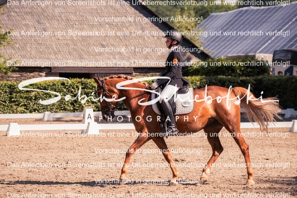 2025_05_31_DSCF2968 | People- und Tierfotografie, Imageaufnahmen, Veranstaltungsfotografie und Wandbilder aus der Natur ★ Made in Germany ✔️ Druck + Downloads ✔️ Naturfotografie in Top Qualität ★ schneller Versand, weltweite Lieferung! - Realisiert mit Pictrs.com