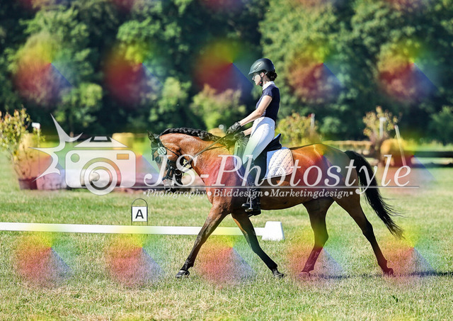 20260628_14a_VA_Dressur-144 | JS-Photostyle - Sport-/Portrait- & Eventfotografie