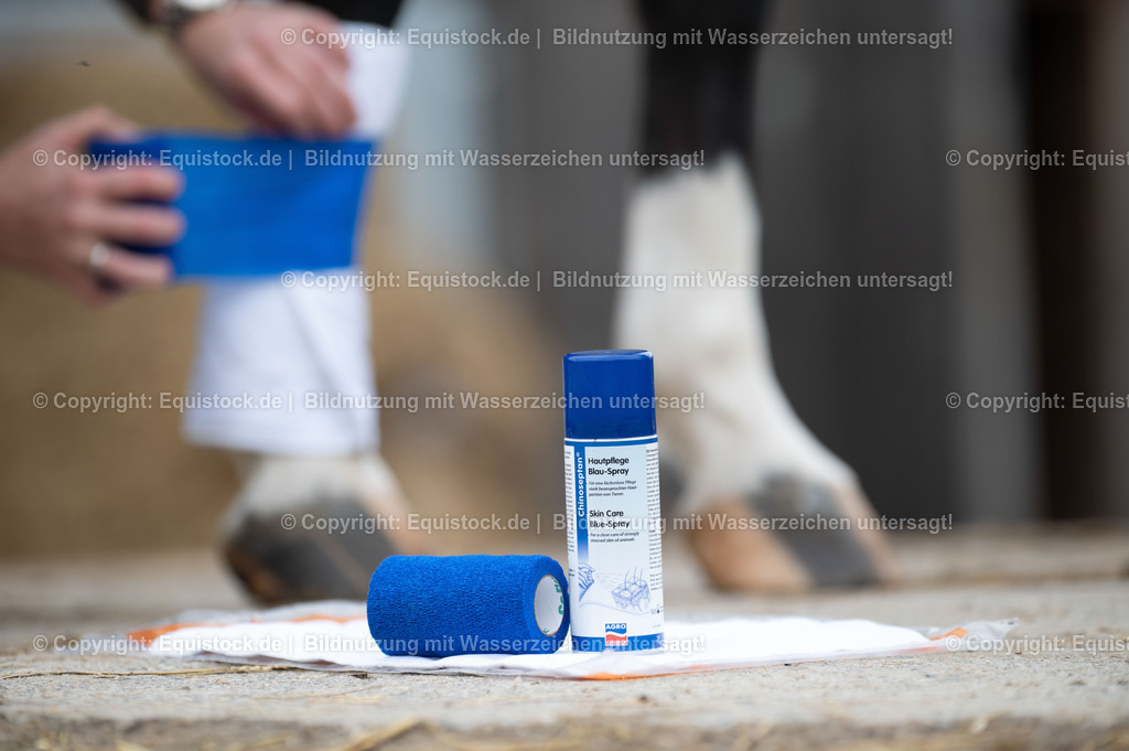 20201030_Erste-Hilfe_0019 | equistock