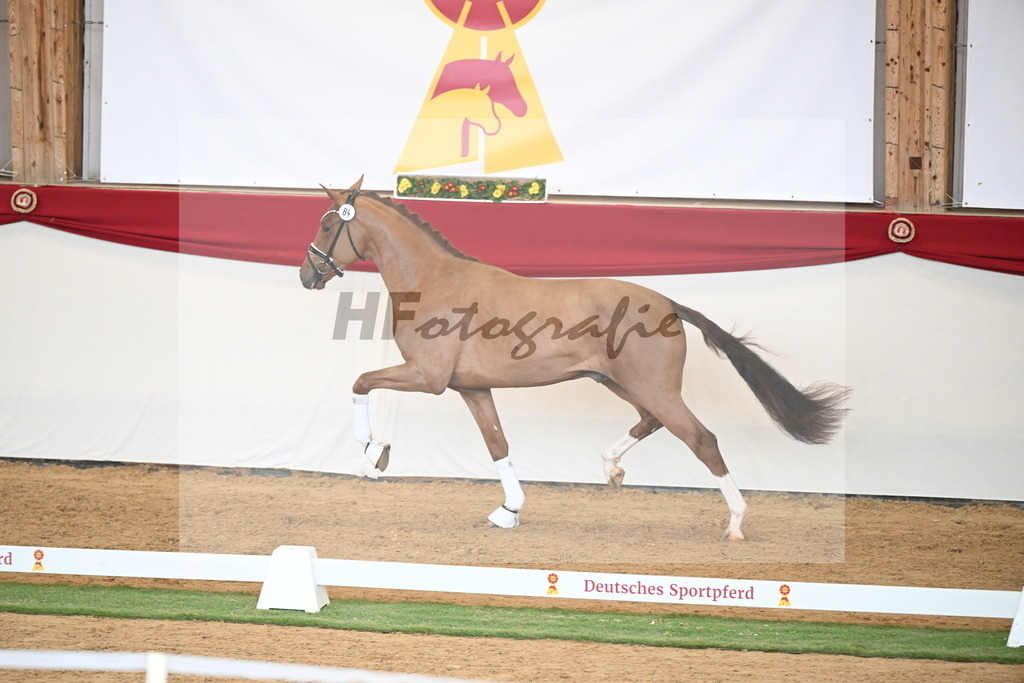 Kat.-Nr. 84 v. Vaderland_van den Oetelaar_2250818 | hf-fotografie - Realisiert mit Pictrs.com