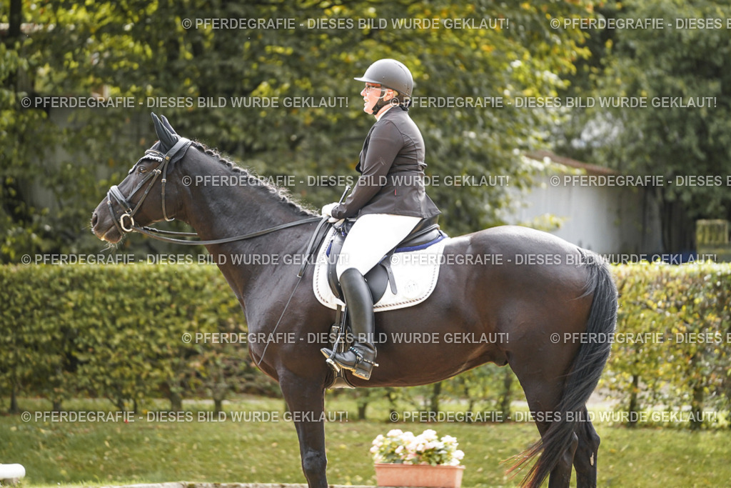 DSC01283 | Pferdegrafie