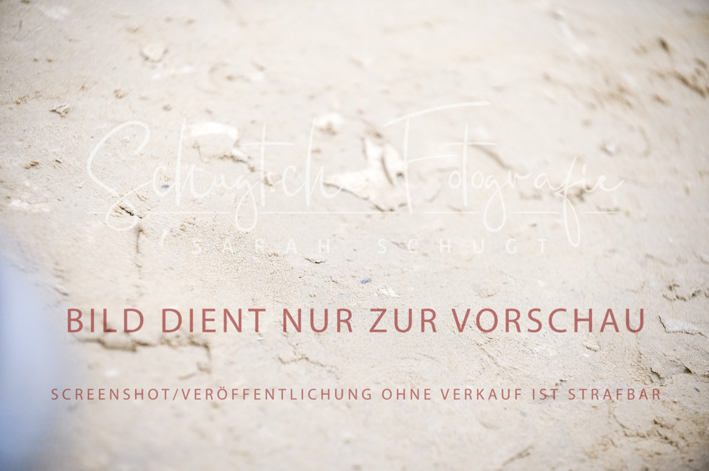 Schugtsche-Aluta25-57.Dressurprf.M1Kand-70 | Schugtsche Fotografie - Realisiert mit Pictrs.com