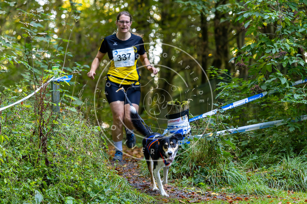 Pfotenfotografie_DV3A7311 | Hundefotografie, Tierfotograf, Pfotenfotografie, Fotoshooting Hund, Hunde Portrait, Hundesport, Hundeportraits, Heideshooting, Hunde, Sportfotograf, Hundefotograf, Turnierhundsport, THS,  - Realisiert mit Pictrs.com