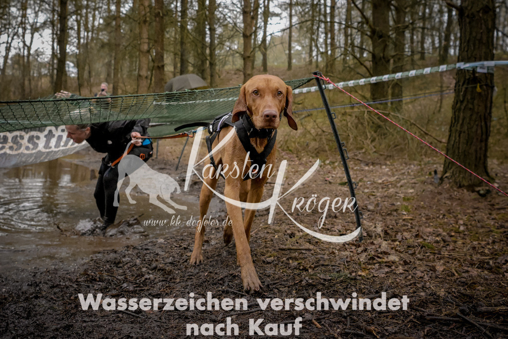 0925_ZZ97883 | kk-dogfotos