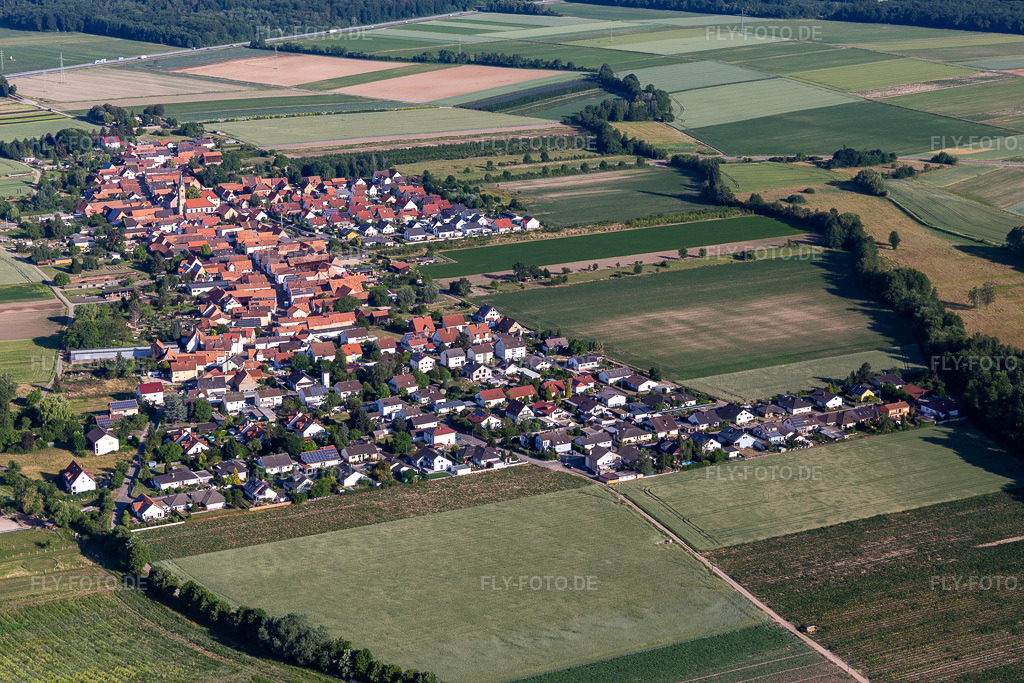 Luftbild:  in Erlenbach bei Kandel im Bundesland Rheinland-Pfalz in Deutschland. Foto: IMG_132369.jpg vom 03.06.2022 durch Werner Riehm/FLY-FOTO.deOrtsgemeinde Erlenbach - auf der Internetpräsenz der Ortsgemeinde Erlenbach bei Kandel