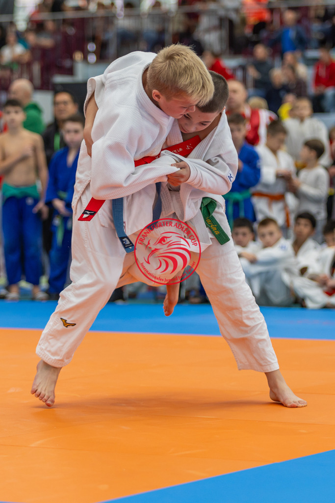Internationaler Adler Cup 2024 | Foto vom Internationalen Adler Cup Judo Turnier im Sport- und Freizeitzentrum Kalbach im Oktober 2024 - Realisiert mit Pictrs.com