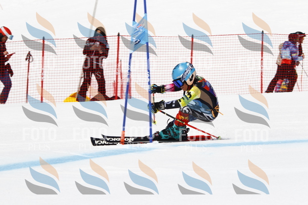 _U3G5022 | holidayphoto