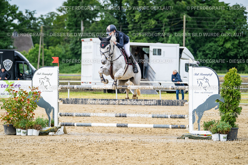 DSC04122 | Pferdegrafie