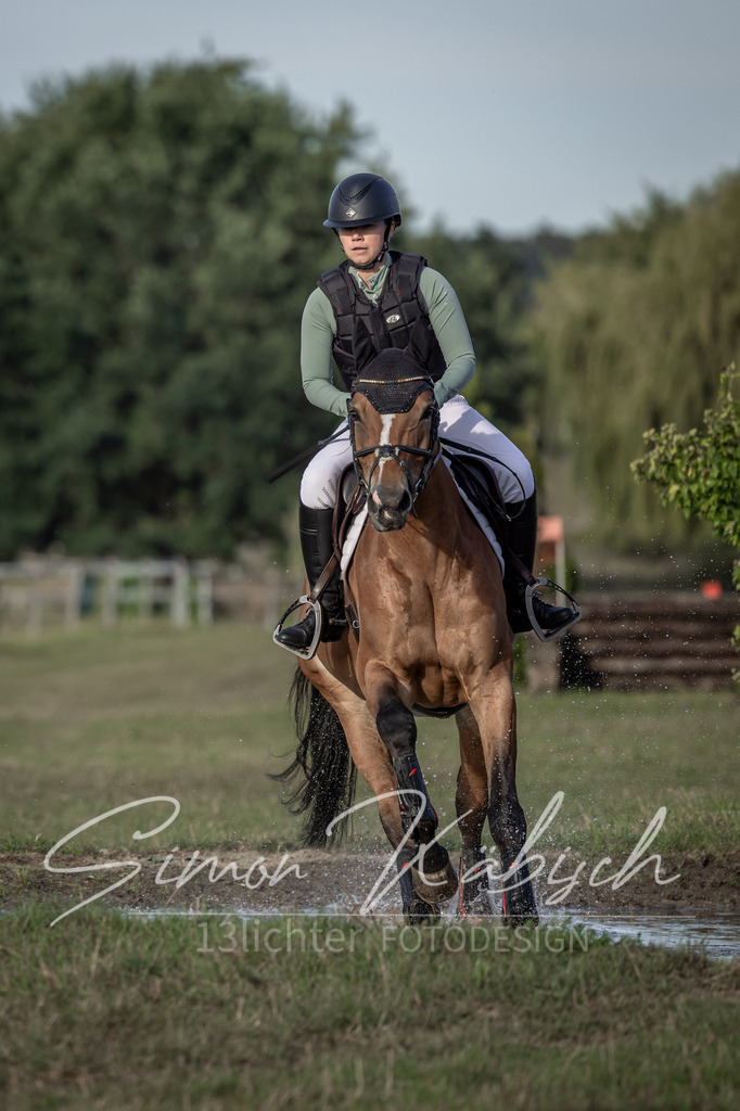 20250907-_3LI8517 | Tierfotografie Pferde, Hunde, Katzen, Haustiere.
Turnierfotografie Reitturniere, Reiten, Springreiten, Dressur in Hanau, dem Main-Kinzig-Kreis und dem Rhein-Main- Gebiet um Frankfurt