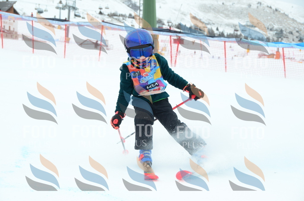 DSC_1218 | holidayphoto