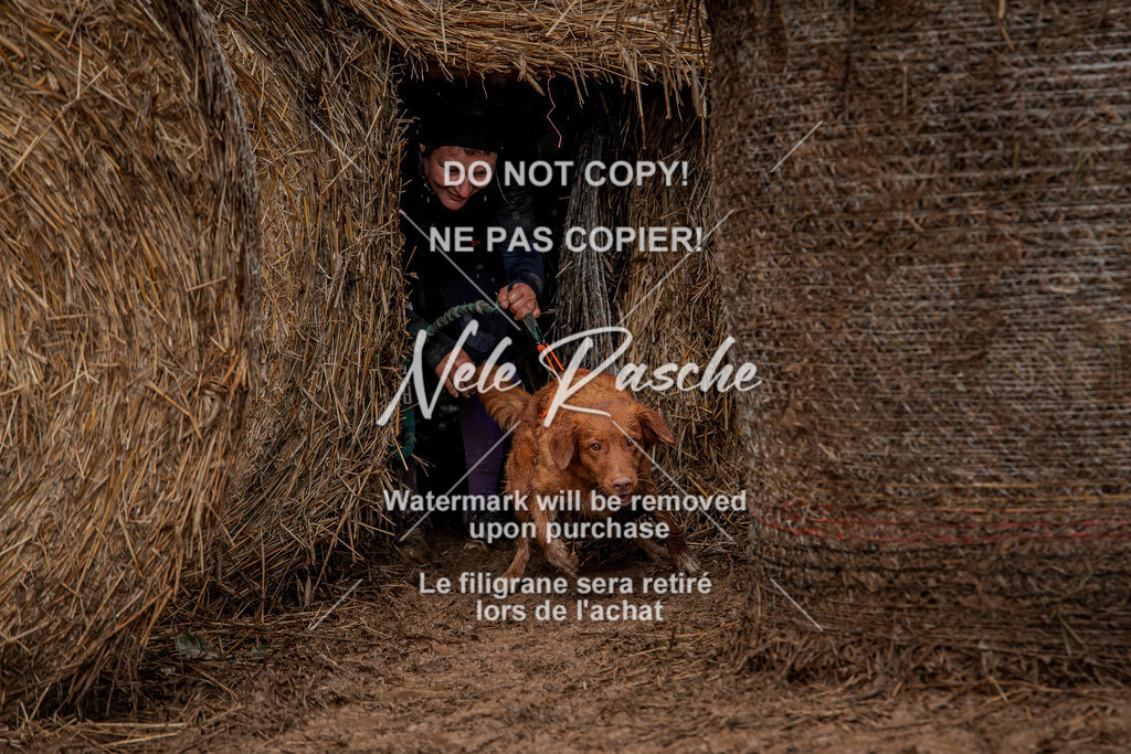 nelerasche_Hunsrück_So12-13_296 | nelerasche