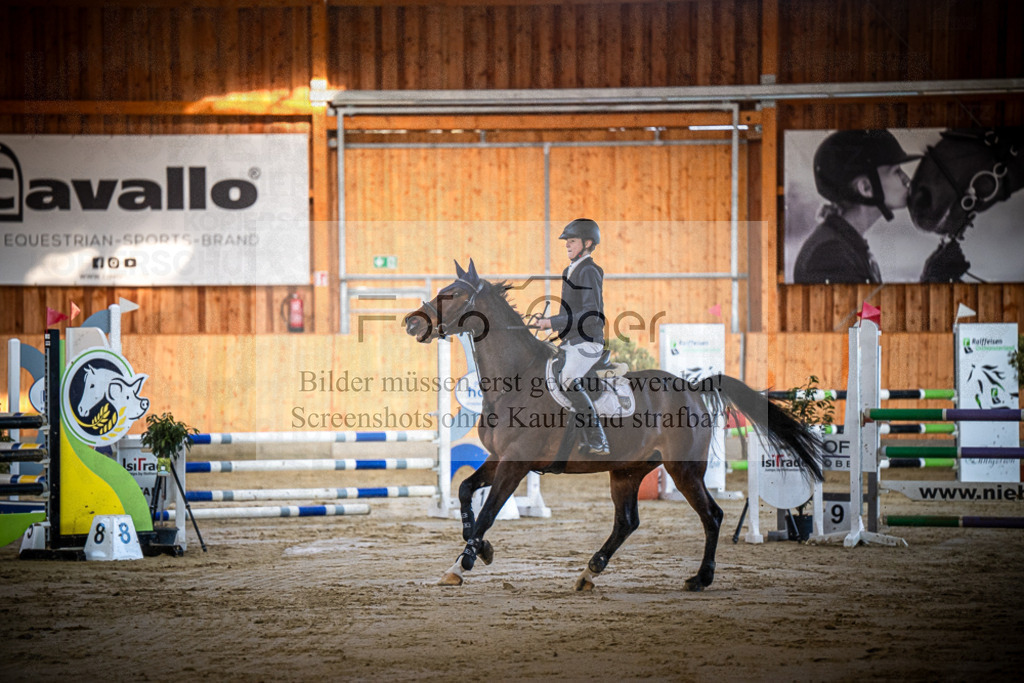 DOS_0291 | Entdecke hochwertige Reitturnierfotos von Foto Oger. Professionell, emotional und authentisch – jetzt Lieblingsmomente im Shop bestellen.Deutschlandweite Turnierfotografie. - Realisiert mit Pictrs.com