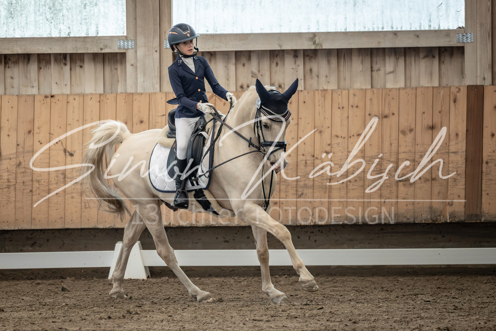20251011-_3LI8295 | Tierfotografie Pferde, Hunde, Katzen, Haustiere.
Turnierfotografie Reitturniere, Reiten, Springreiten, Dressur in Hanau, dem Main-Kinzig-Kreis und dem Rhein-Main- Gebiet um Frankfurt