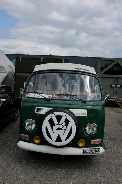 Calag_Oldtimer2025-36 | Ich fotografiere Hundeausstellungen, Sportanlässe, Zuchtstätten, Hundezucht, Hundeportrait, Lagotto - Realisiert mit Pictrs.com