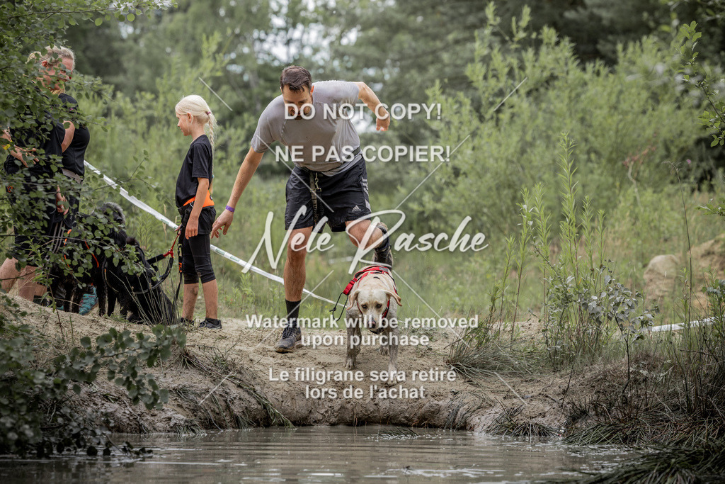 nelerasche_so1515-1530_359 | nelerasche