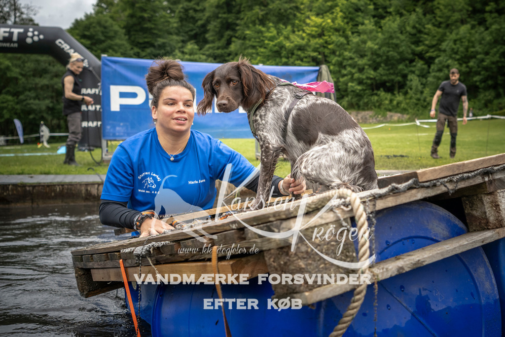 1015_ZZ95417 | kk-dogfotos