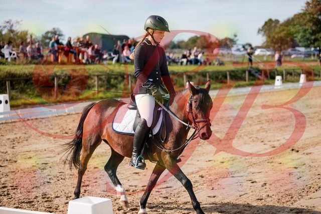 2026_10_03_Siefer-Hof_120543_Z63_36505906 | Professionelle Reitsport-, Turnier- und Eventfotografie von Robert Broda. Galerien mit ausgewählten und bearbeiteten Bildern direkt online ansehen und bestellen.
