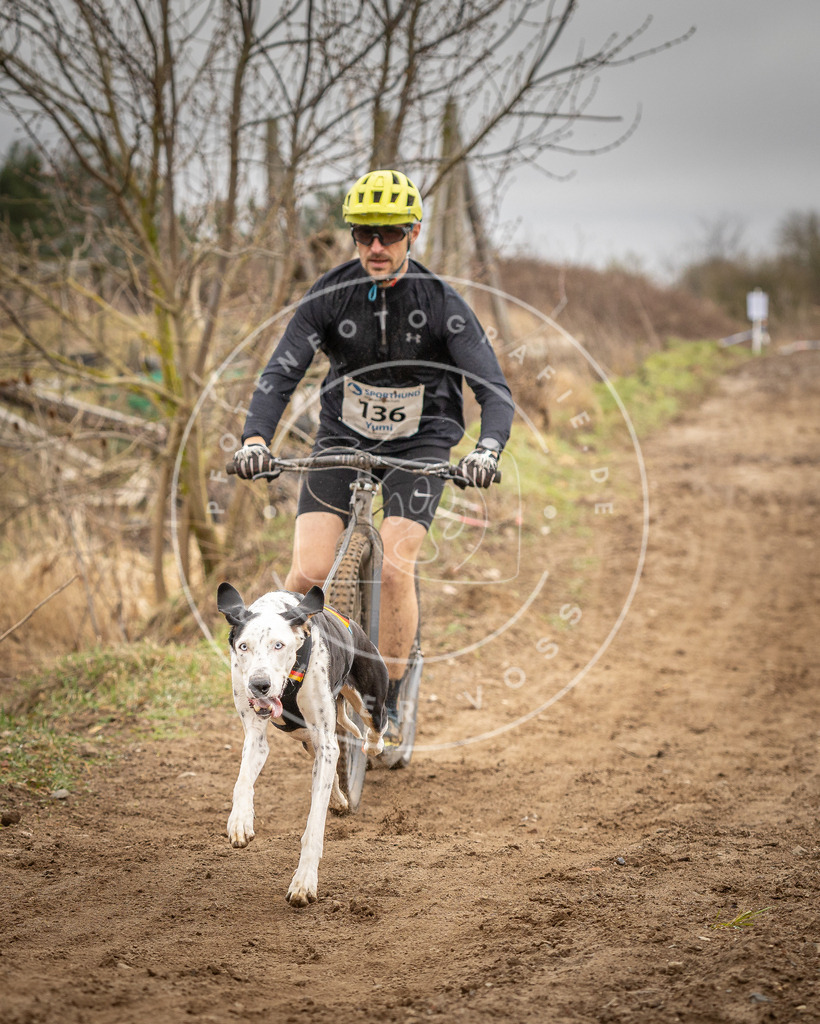 DV3A1329 | Hundefotografie, Tierfotograf, Pfotenfotografie, Fotoshooting Hund, Hunde Portrait, Hundesport, Hundeportraits, Heideshooting, Hunde, Sportfotograf, Hundefotograf, Turnierhundsport, THS,  - Realisiert mit Pictrs.com