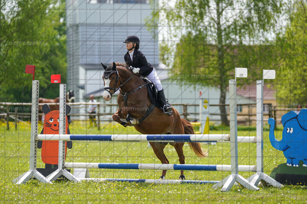 20230521-FAH06257 | Frühjahrsturnier, Landsberg am Lech, 2023, Reitclub Landsberg, Turnierbilder, Fotos Turnier Landsberg, Fotoagentur Herrmann, Turnierfotografen Bayern, Reitsport Fotograf, Pferde Fotograf