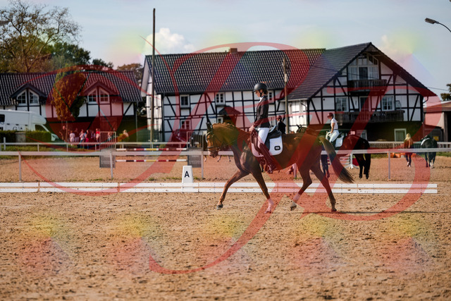 2026_10_03_Siefer-Hof_132849_Z63_90171223 | Professionelle Reitsport-, Turnier- und Eventfotografie von Robert Broda. Galerien mit ausgewählten und bearbeiteten Bildern direkt online ansehen und bestellen.