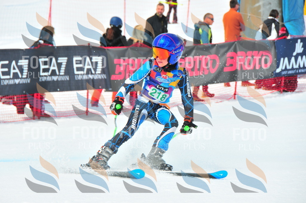 DSC_2015 | holidayphoto