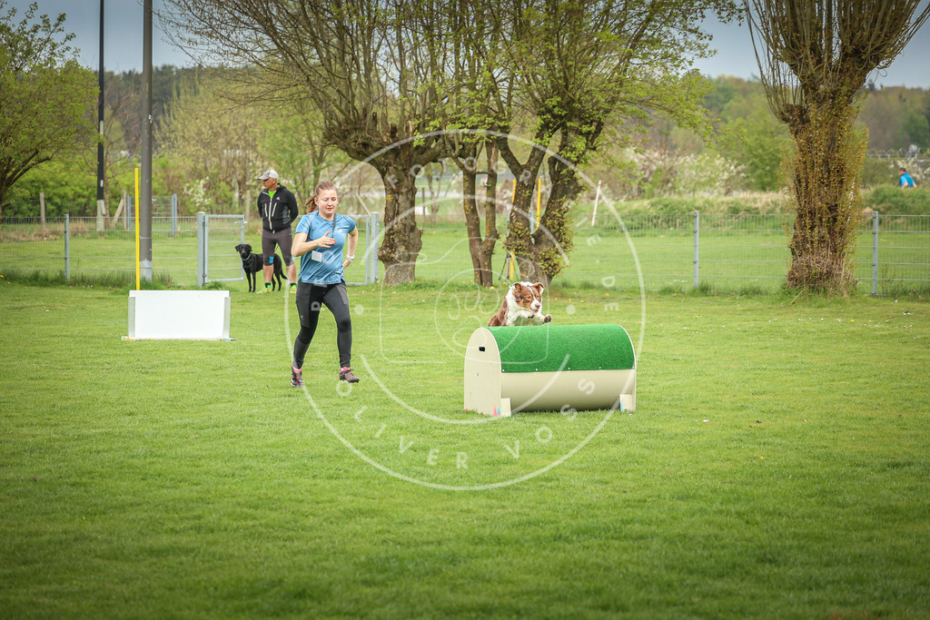 Pfotenfotografie_0L8A9403 | Hundefotografie, Tierfotograf, Pfotenfotografie, Fotoshooting Hund, Hunde Portrait, Hundesport, Hundeportraits, Heideshooting, Hunde, Sportfotograf, Hundefotograf, Turnierhundsport, THS,  - Realisiert mit Pictrs.com