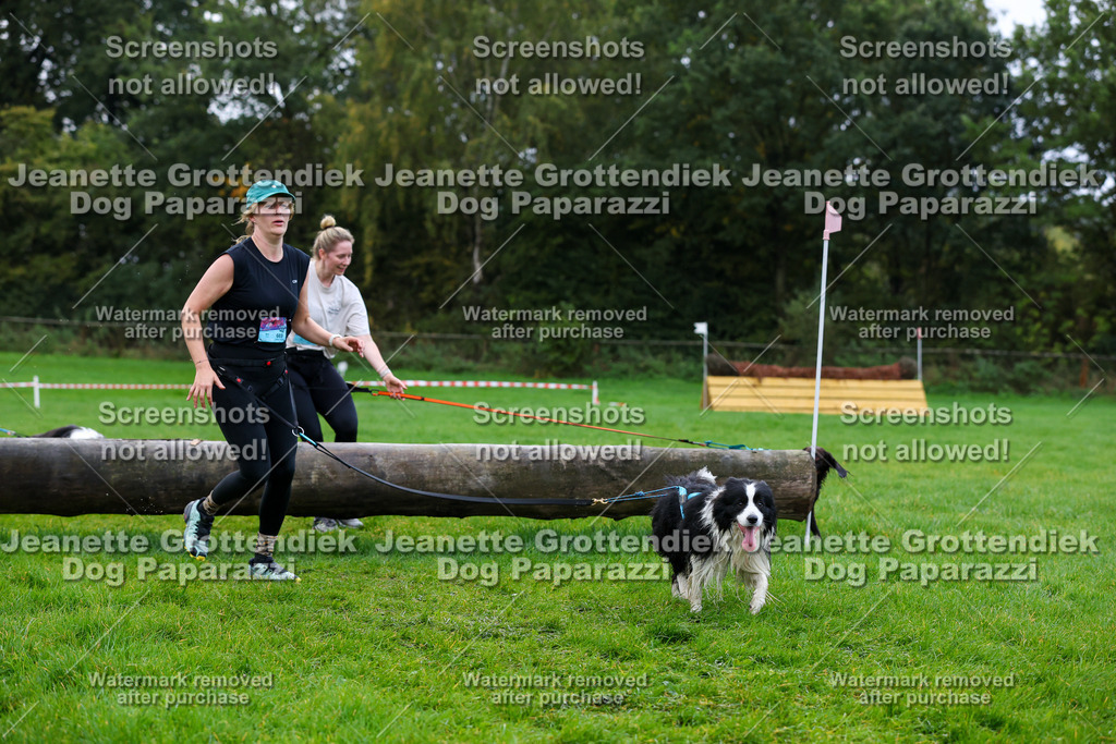 Dog Paparazzi -  SD1026-1307 | Dog Paparazzi Jeanette Grottendiek Fotografie & Videografie - Realisiert mit Pictrs.com