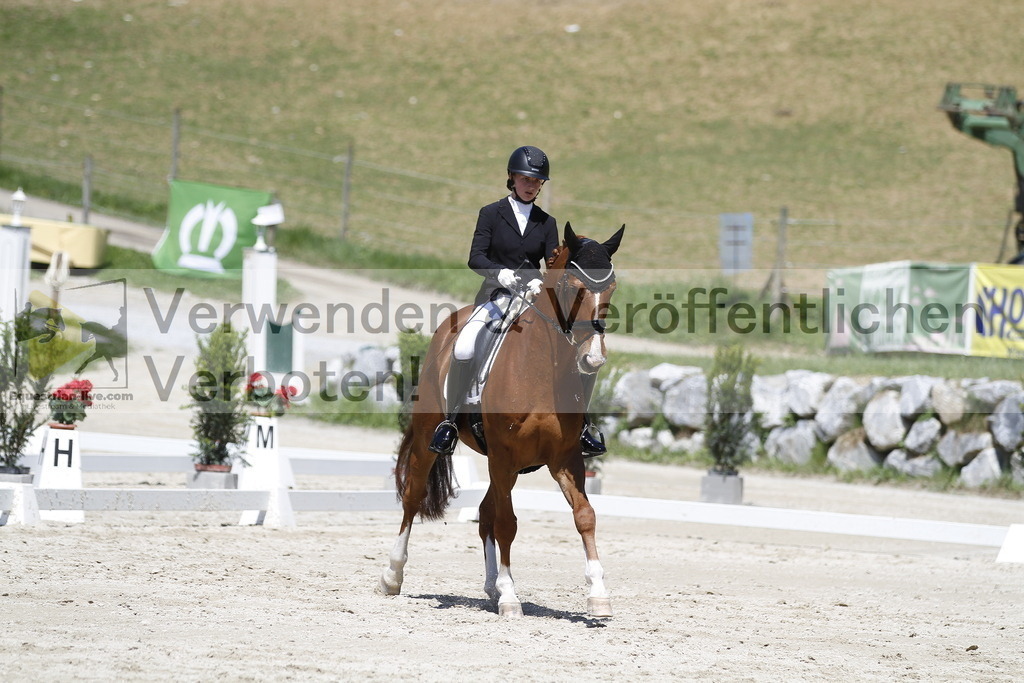 _MG_4596 | equestrian-live-com