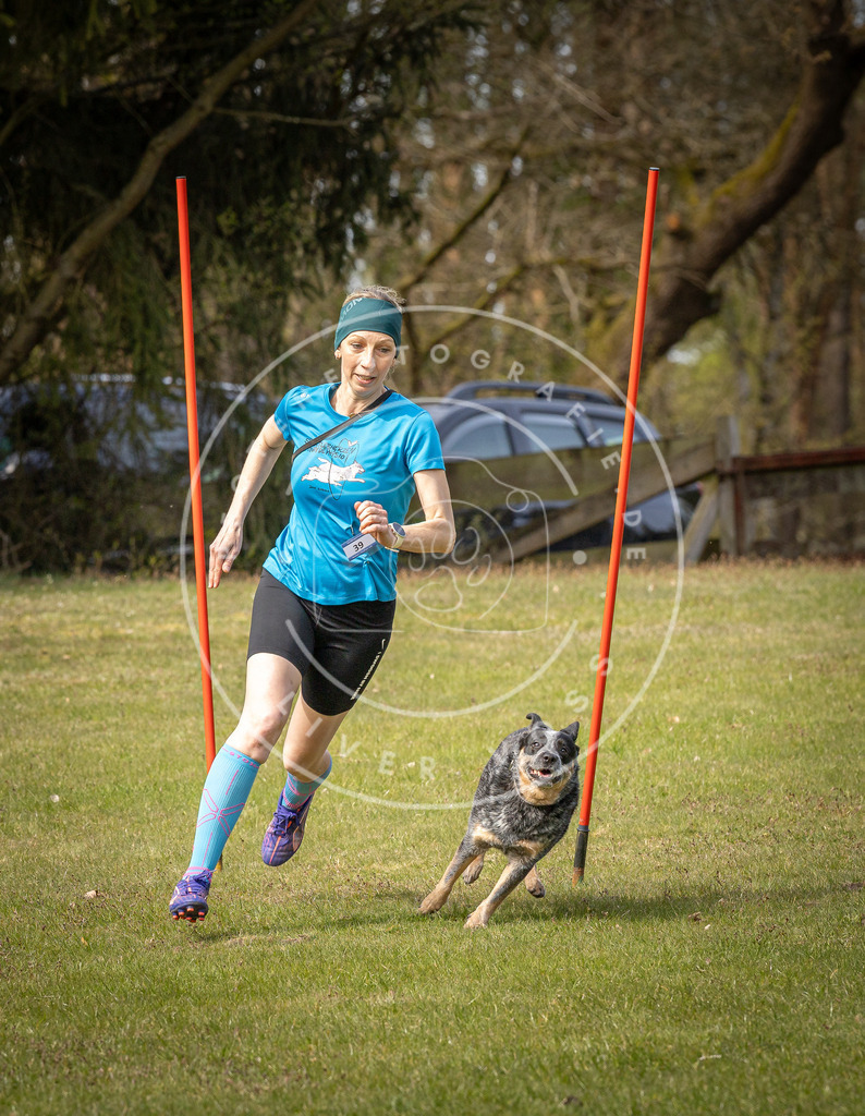 Pfotenfotografie_DV3A7568 | Hundefotografie, Tierfotograf, Pfotenfotografie, Fotoshooting Hund, Hunde Portrait, Hundesport, Hundeportraits, Heideshooting, Hunde, Sportfotograf, Hundefotograf, Turnierhundsport, THS,  - Realisiert mit Pictrs.com