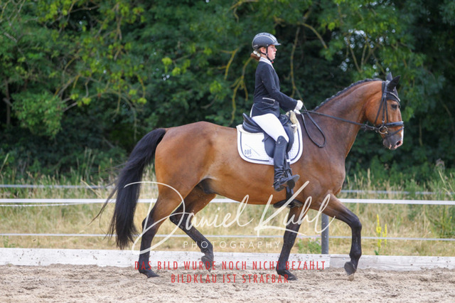 DKP45901 | Turniersportfotografie; Pferdefotografie; Dressurfotografie