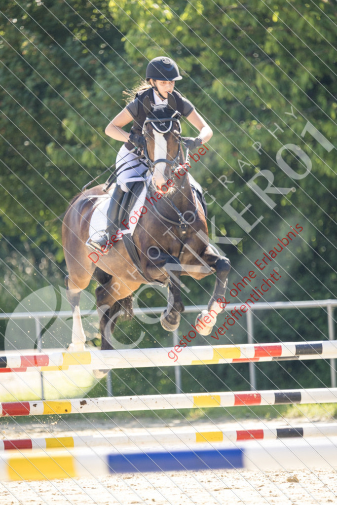 IMG_3077 | Sport-, Event- und Tierfotos in Profiqualität. Einfach auswählen, bestellen und herunterladen. Dein Moment – perfekt festgehalten.