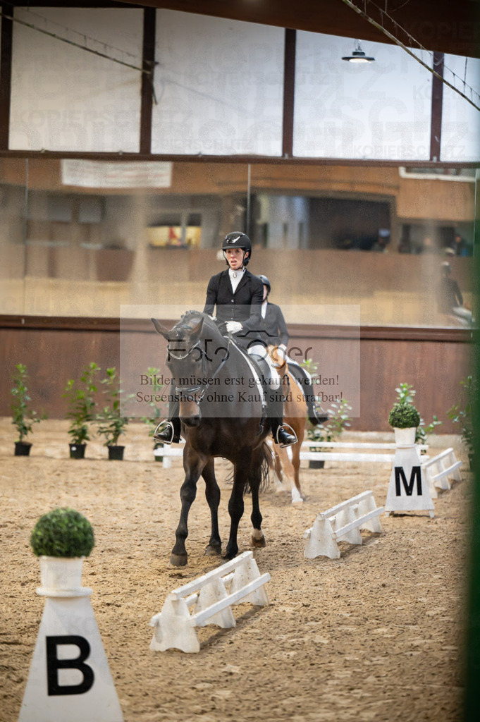 Hallenreittunier Voxtrup 2023 | Entdecke hochwertige Reitturnierfotos von Foto Oger. Professionell, emotional und authentisch – jetzt Lieblingsmomente im Shop bestellen.Deutschlandweite Turnierfotografie. - Realisiert mit Pictrs.com