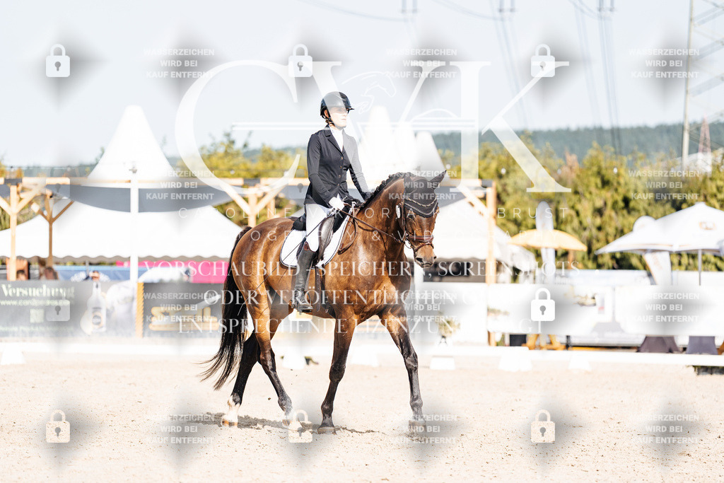 CK905468 | Turnierfotografie Pferdefotografie Trier Rheinland-Pfalz Pferdesport Reitsport Tierfotografie Sportfotografie Pferdevideo Pferdevideografie Equestrianvideography equestrianphotography  - Realisiert mit Pictrs.com