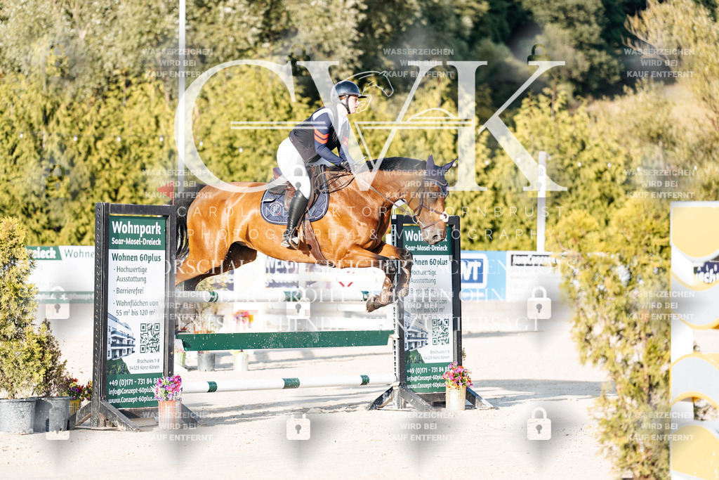 CK900667 | Turnierfotografie Pferdefotografie Trier Rheinland-Pfalz Pferdesport Reitsport Tierfotografie Sportfotografie Pferdevideo Pferdevideografie Equestrianvideography equestrianphotography  - Realisiert mit Pictrs.com