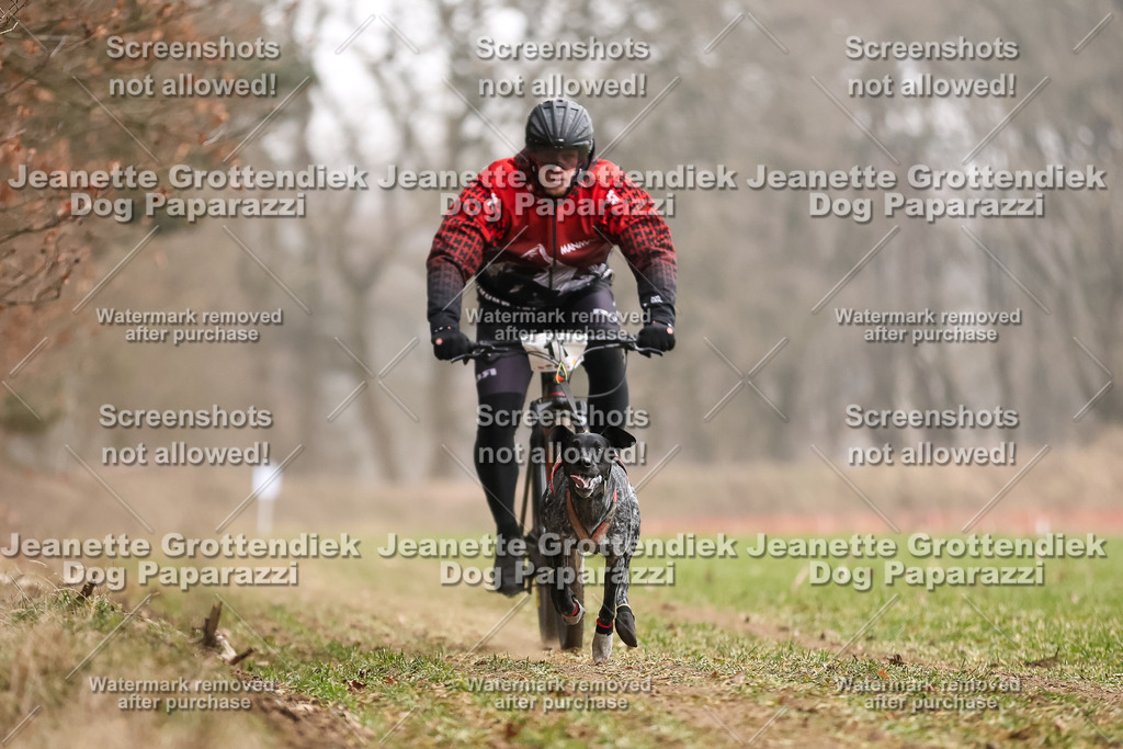 Dog Paparazzi - Plate 2026-40 | Dog Paparazzi Jeanette Grottendiek Fotografie & Videografie - Realisiert mit Pictrs.com