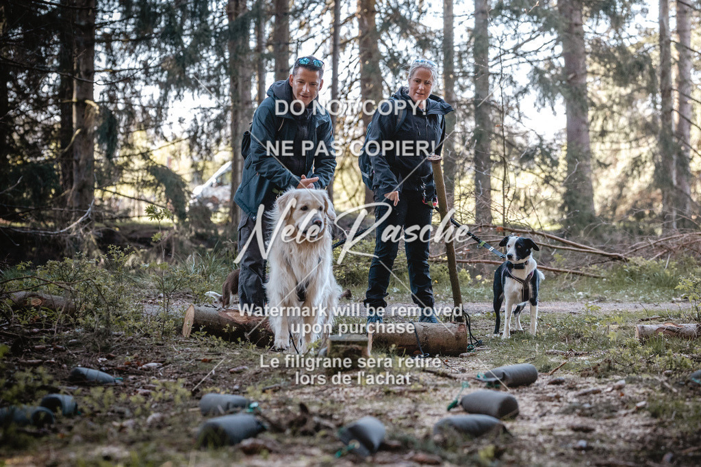 6Z1A0690 | nelerasche