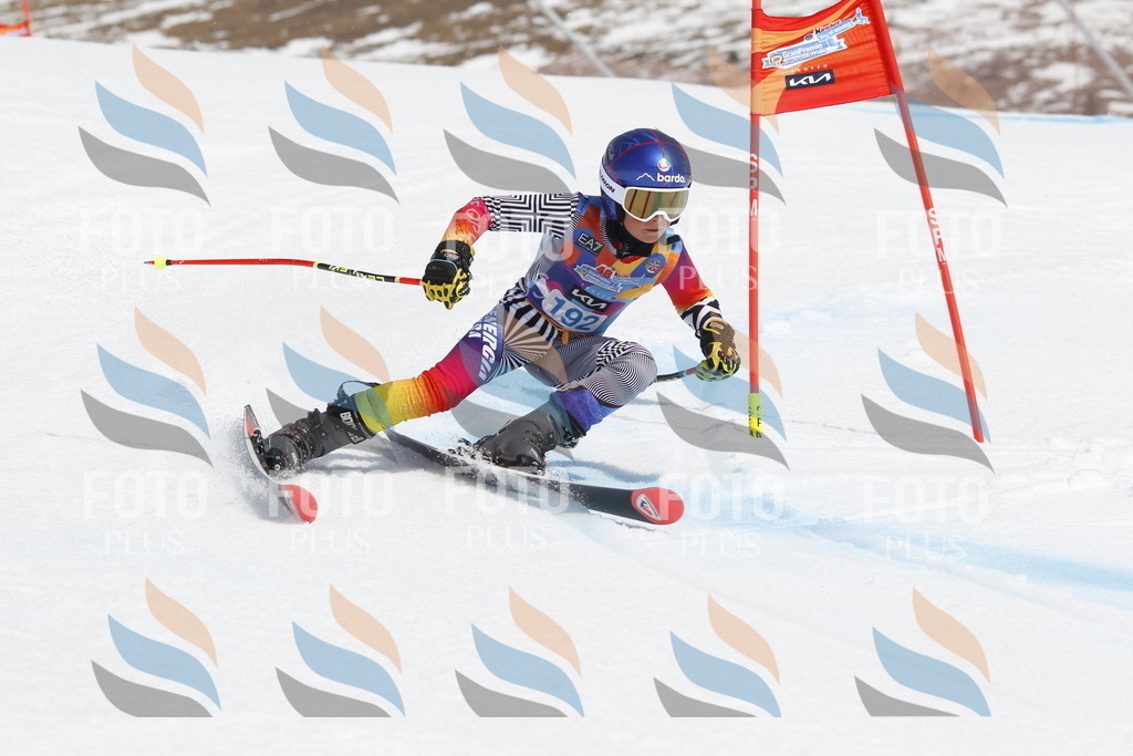 _U3G1913 | holidayphoto