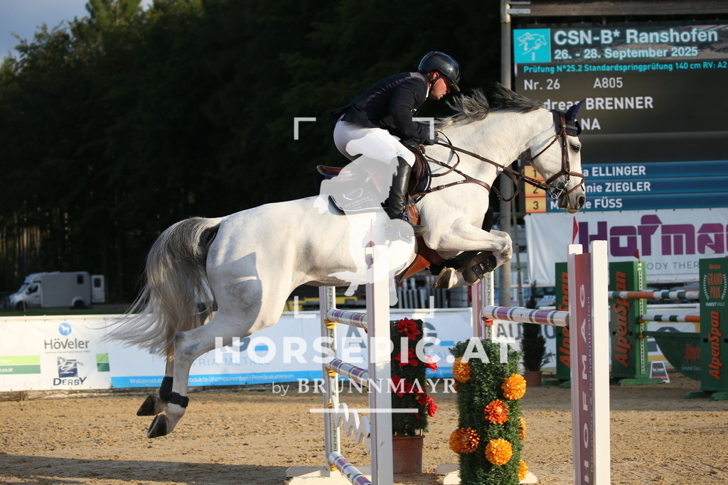 DL2Q6280 | Willkommen bei Brunnmayr - Design & Fotografie – Ihrem Spezialisten für Reitturniere und Pferdeveranstaltungen in Oberösterreich, Salzburg und Bayern! Seit über 17 Jahren sind wir leidenschaftlich dabei.