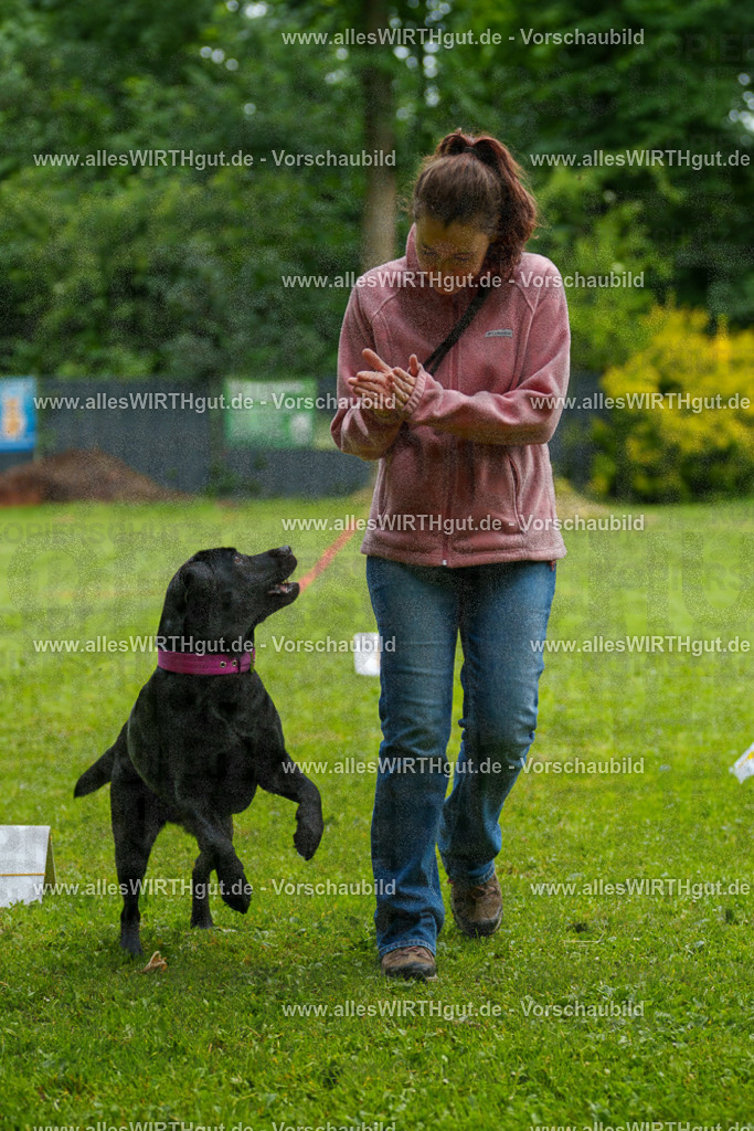 @allesWIRTHgut_Tierfotografie - www.allesWIRTHgut.de - 7R503226 | Professionelle Tierfotografie in Mönchengladbach von Daniel Wirth (allesWIRTHgut). Liebevolle & natürliche Bilder von Hunden & Katzen für unvergessliche Erinnerungen.