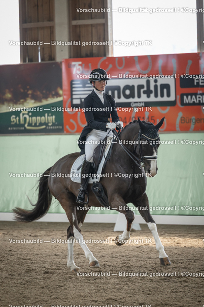 _D5A5002 | Emotionale Pferde- & People-Fotografie rund um Heidelberg, Leimen & Umgebung. Natürliche Fotos von Pferd, Mensch & Familie. Jetzt Termin sichern!