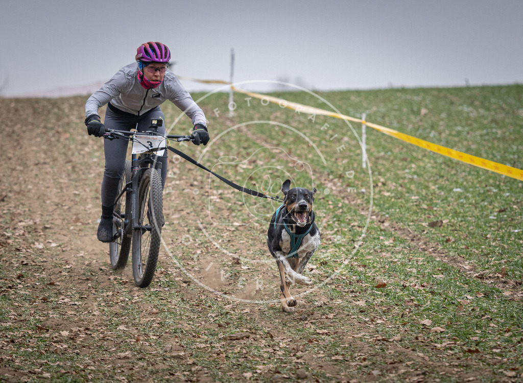 Pfotenfotografie_DV3A0963 | Hundefotografie, Tierfotograf, Pfotenfotografie, Fotoshooting Hund, Hunde Portrait, Hundesport, Hundeportraits, Heideshooting, Hunde, Sportfotograf, Hundefotograf, Turnierhundsport, THS,  - Realisiert mit Pictrs.com
