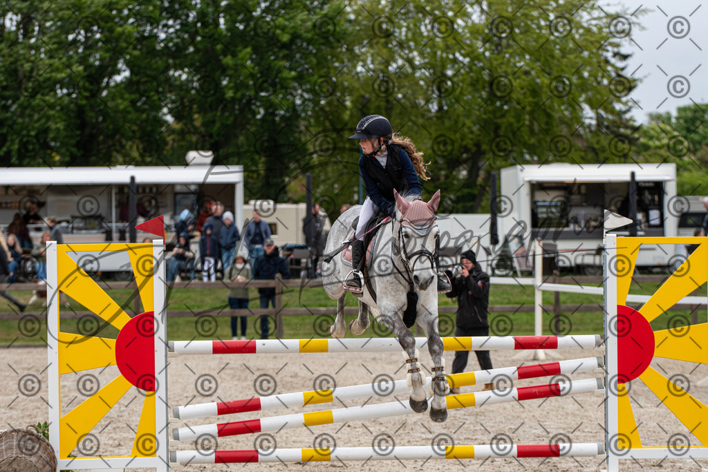 KPT_8383 | andre_photographic