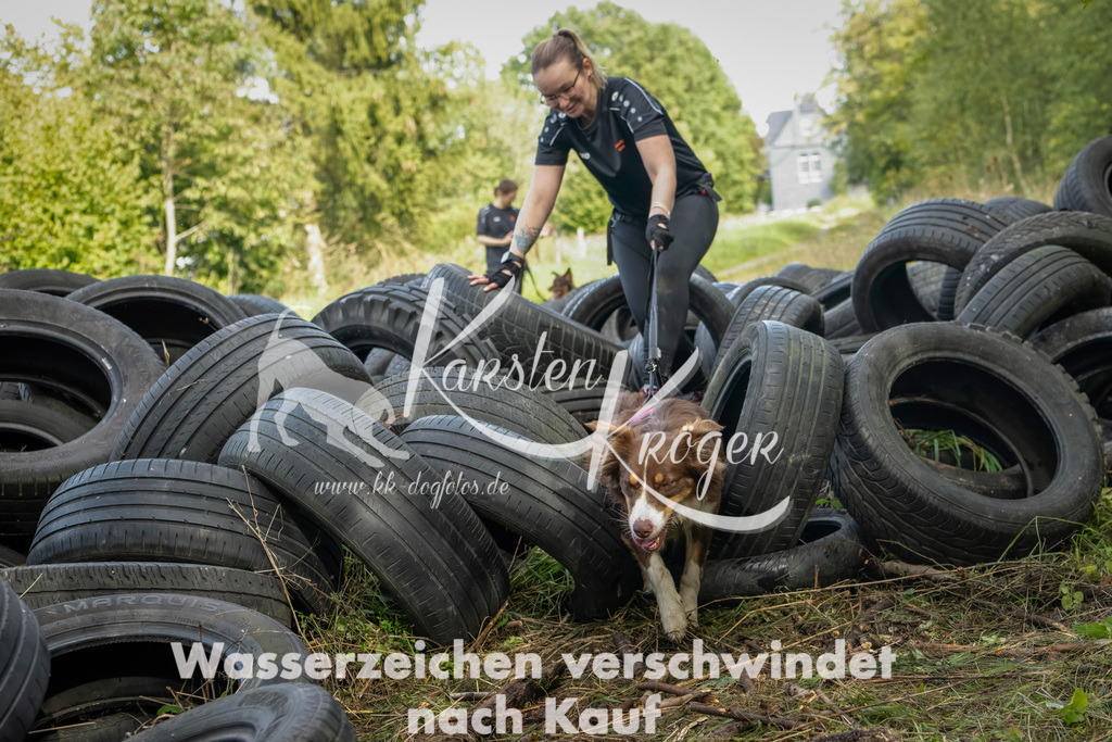 1505_ZZ91090-Bearbeitet | kk-dogfotos
