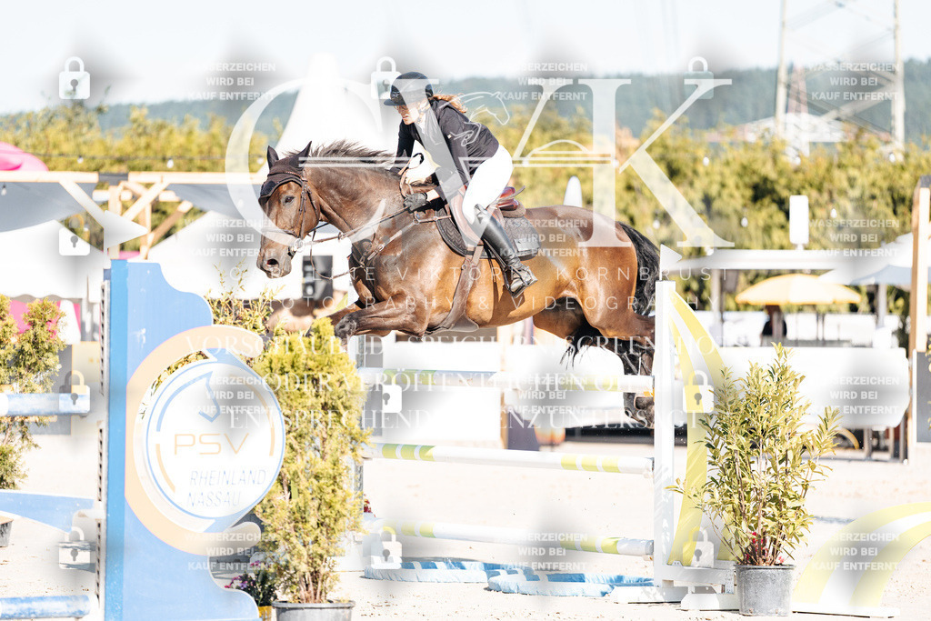 CK904721 | Turnierfotografie Pferdefotografie Trier Rheinland-Pfalz Pferdesport Reitsport Tierfotografie Sportfotografie Pferdevideo Pferdevideografie Equestrianvideography equestrianphotography  - Realisiert mit Pictrs.com