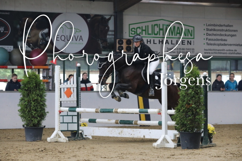 IMG_1523 | photographesa-joergens - Realisiert mit Pictrs.com