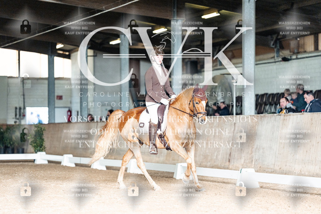 CK902937 | Turnierfotografie Pferdefotografie Trier Rheinland-Pfalz Pferdesport Reitsport Tierfotografie Sportfotografie Pferdevideo Pferdevideografie Equestrianvideography equestrianphotography  - Realisiert mit Pictrs.com
