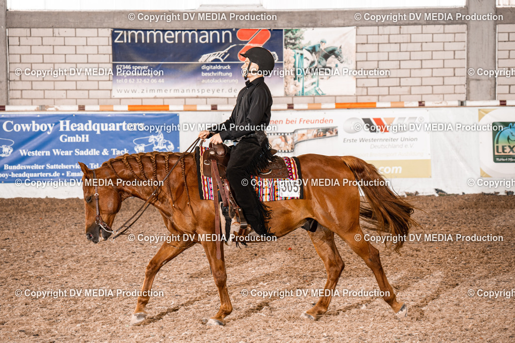 ZH300452 | dv-media-shop - Realisiert mit Pictrs.com