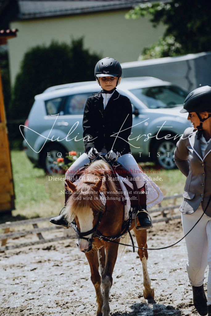 DSC_2277 | Pferde- und Turnierfotografie in Westsachsen. Pferdeportraits, Auftragszeichnungen und intuitive Kunst.