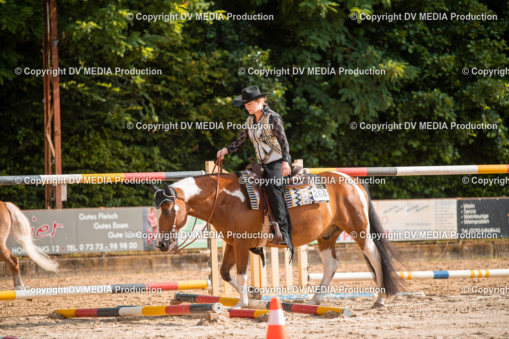 ZS3_9101 | dv-media-shop - Realisiert mit Pictrs.com